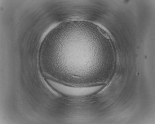 X0000071971333200607282048