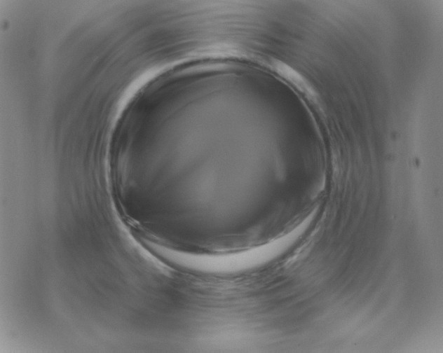 X0000071971334200607282048