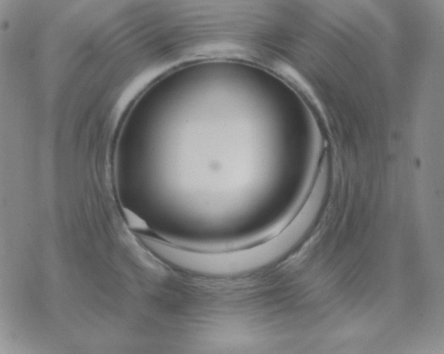 X0000071971336200607282048