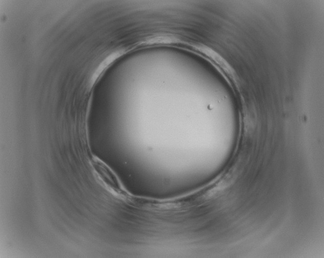 X0000071971337200607282048