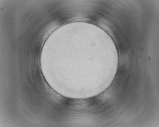 X0000071971338200607282048