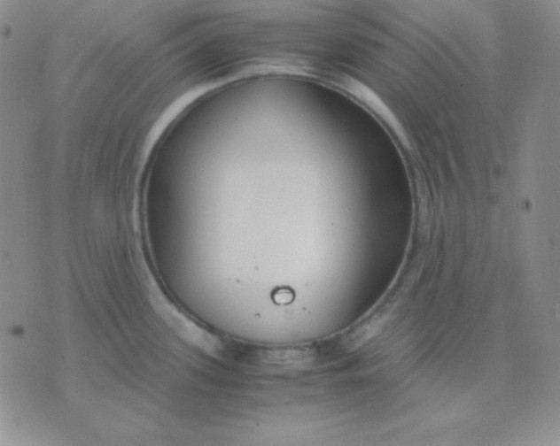 X0000071971339200607282048