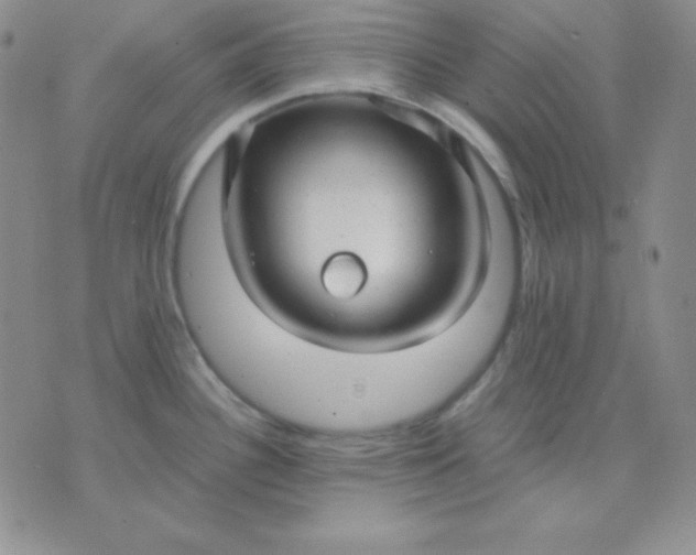 X0000071971340200607282048