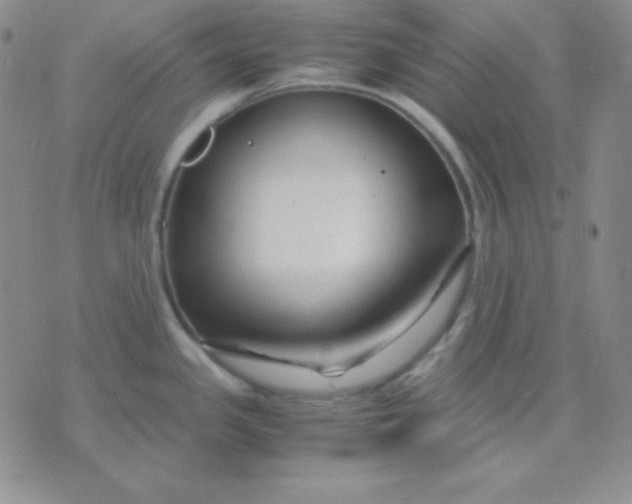 X0000071971341200607282048