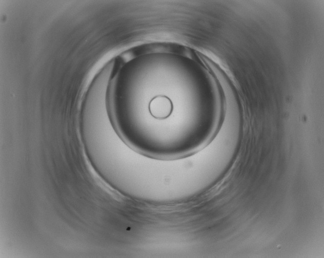 X0000071971342200607282048