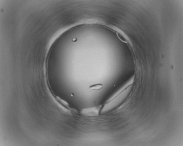 X0000071971343200607282048