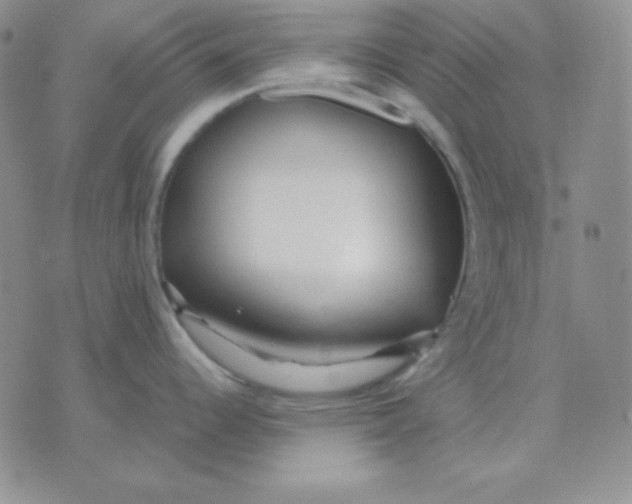 X0000071971344200607282049