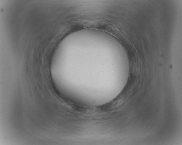 X0000071971345200607282048