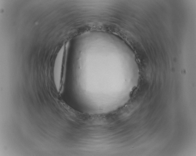 X0000071971346200607282048