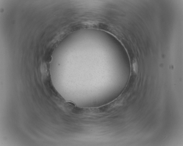 X0000071971347200607282048