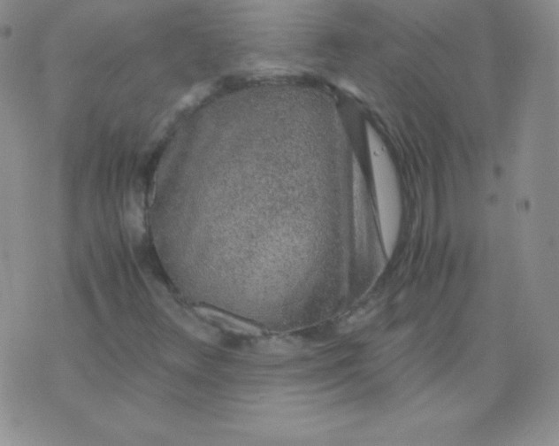 X0000071971348200607282048