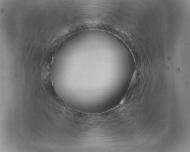 X0000071971349200607282048