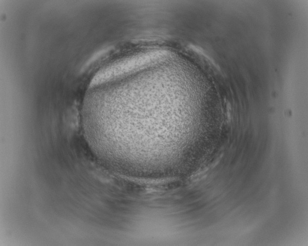 X0000071971350200607282048