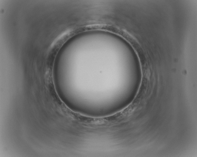 X0000071971351200607282048