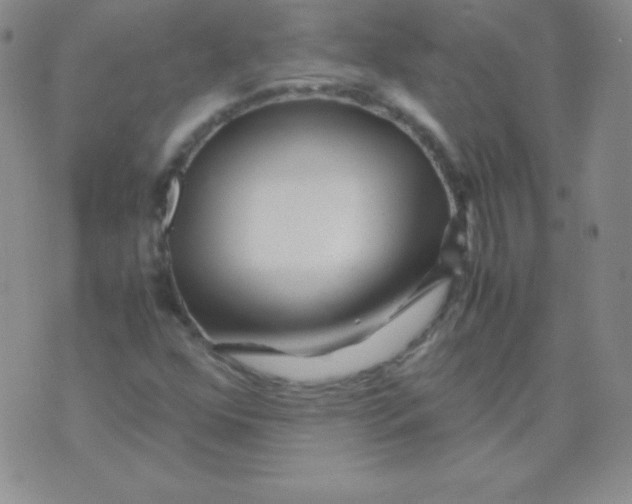 X0000071971352200607282048