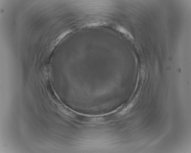 X0000071971353200607282048