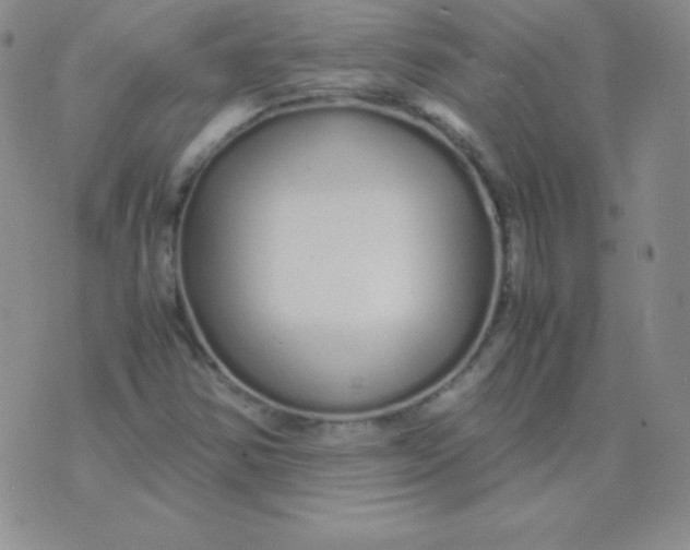 X0000071971354200607282048