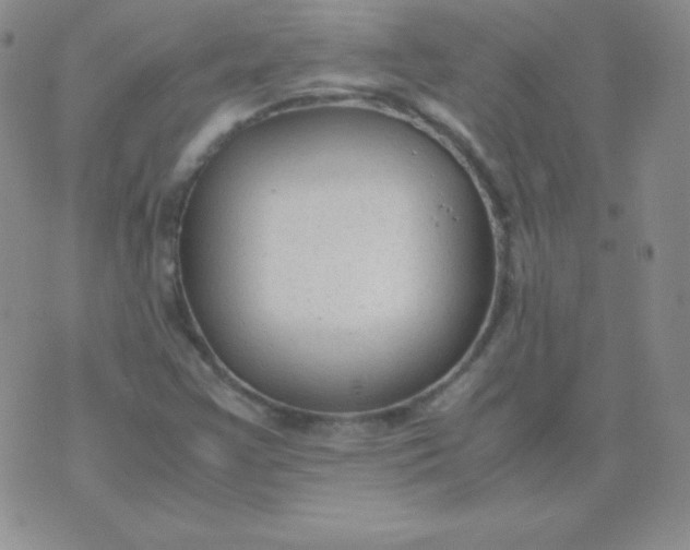 X0000071971355200607282048