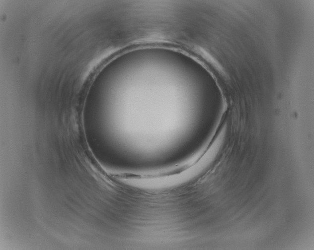 X0000071971356200607282048