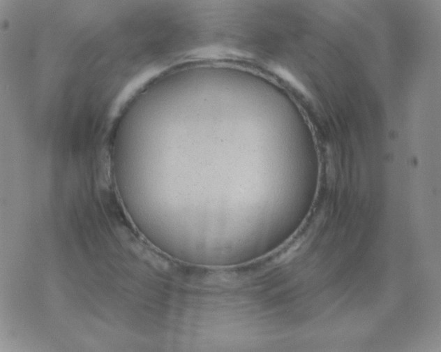 X0000071971358200607282048