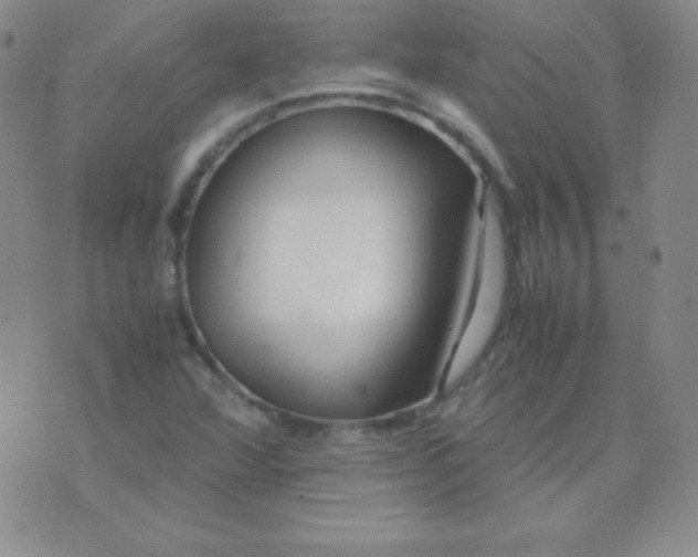 X0000071971360200607282047