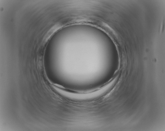 X0000071971361200607282047