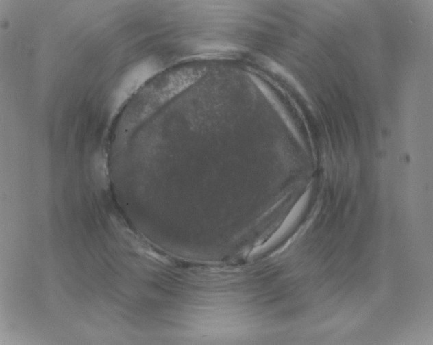 X0000071971362200607282047