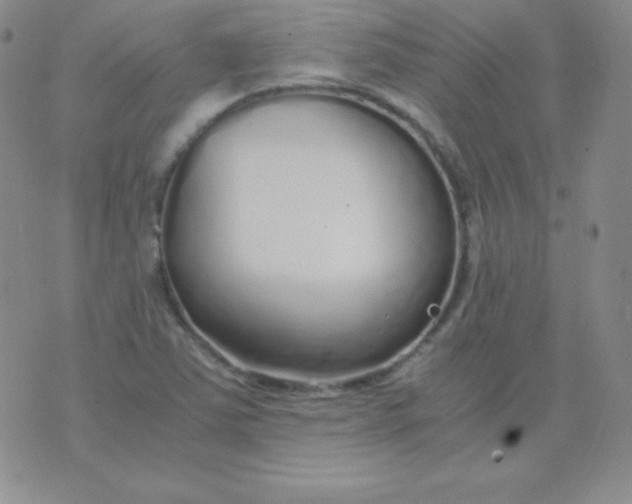 X0000071971363200607282047