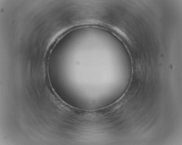 X0000071971364200607282047