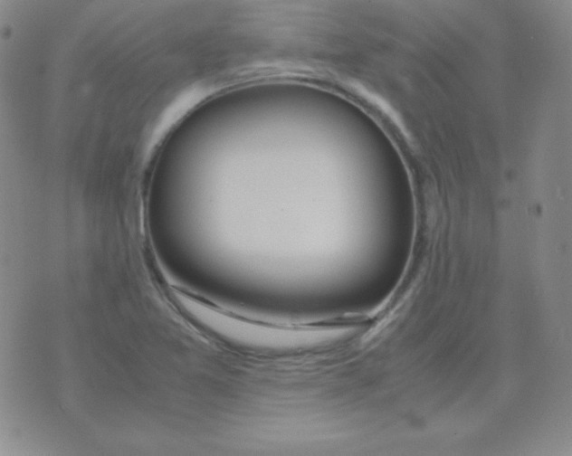 X0000071971365200607282047