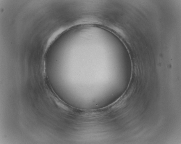 X0000071971366200607282047