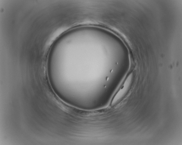 X0000071971367200607282047