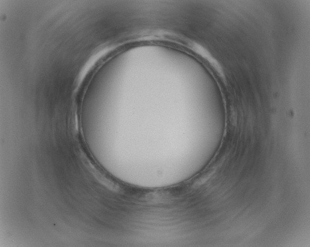 X0000071971368200607282047