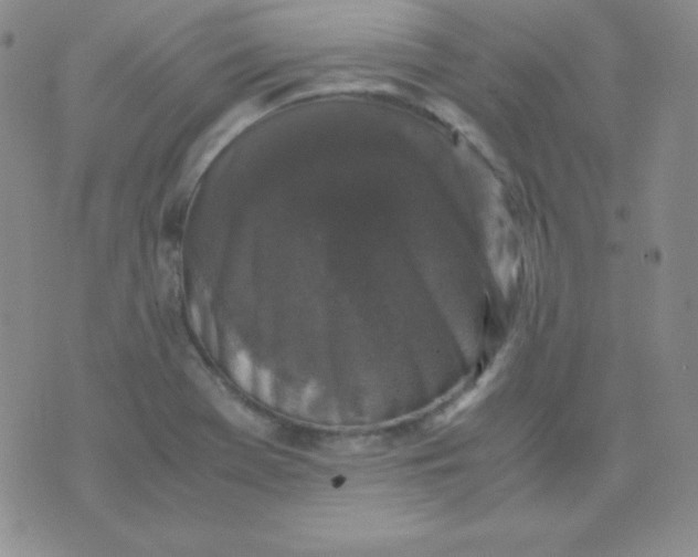 X0000071971369200607282047