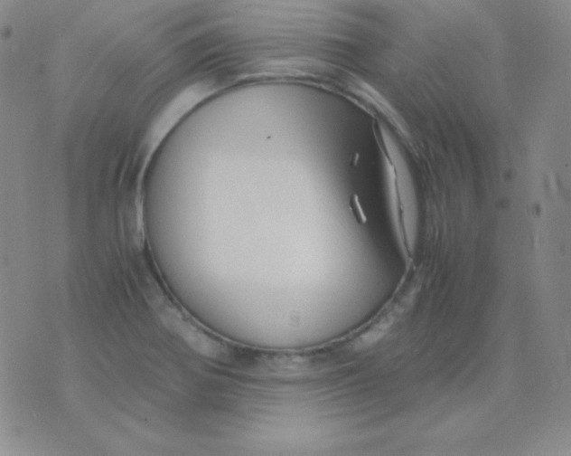 X0000071971370200607282047