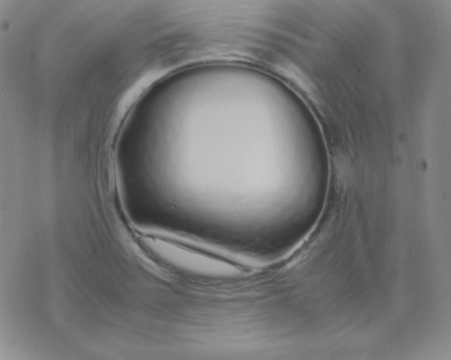 X0000071971371200607282047