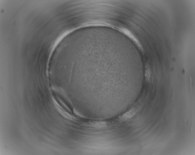 X0000071971372200607282047