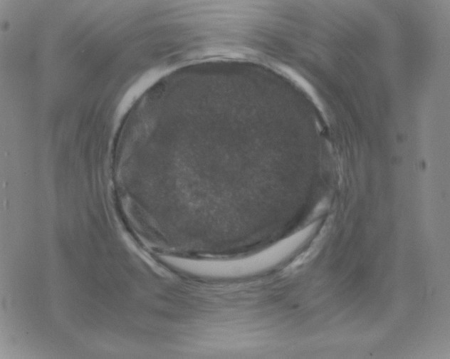 X0000071971373200607282047