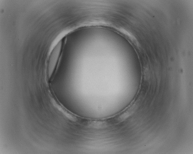 X0000071971374200607282047