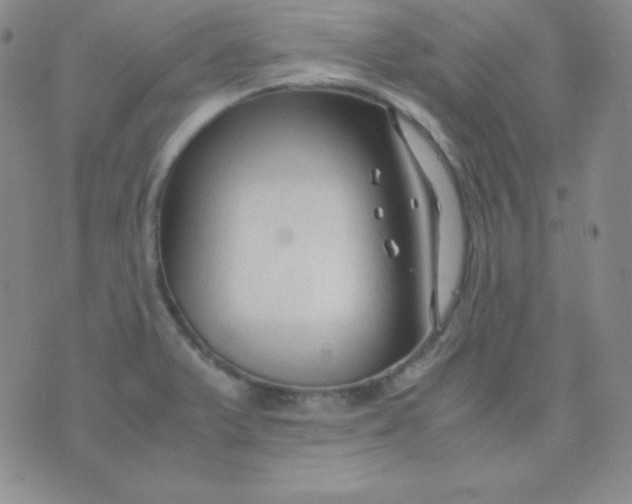 X0000071971375200607282047