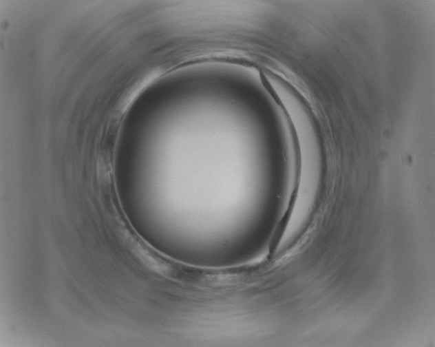 X0000071971377200607282047