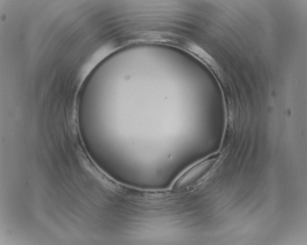 X0000071971378200607282047