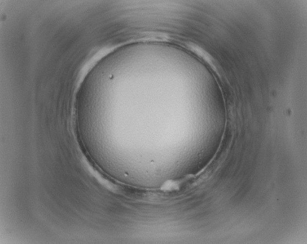 X0000071971379200607282047