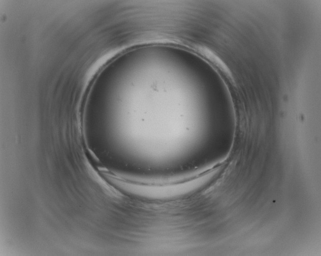 X0000071971380200607282047