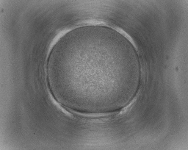 X0000071971381200607282047