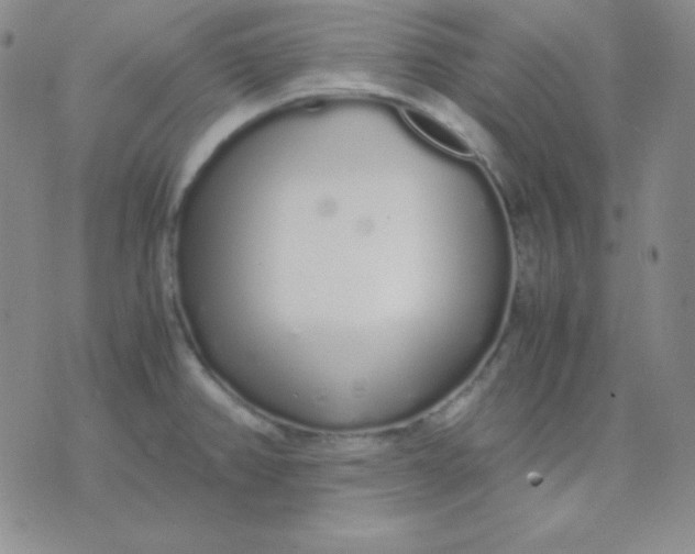 X0000071971382200607282047