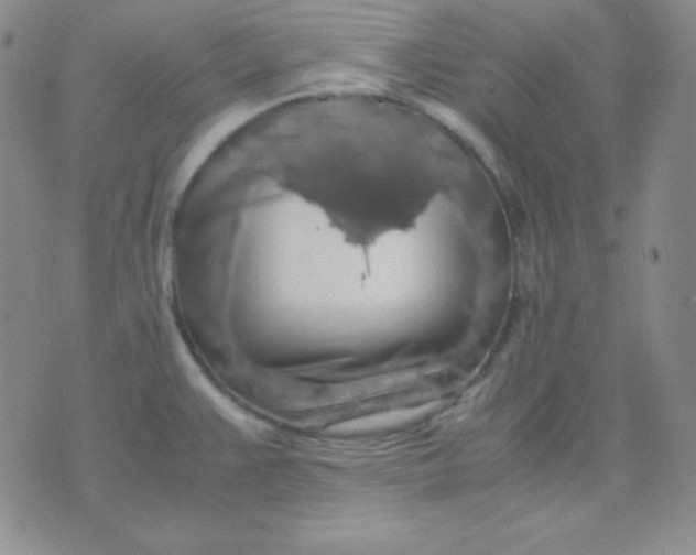 X0000071971383200607282047