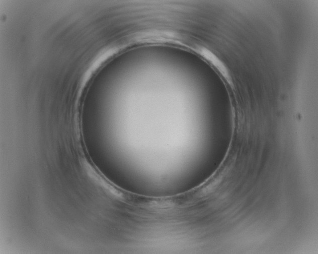 X0000071971384200607282047