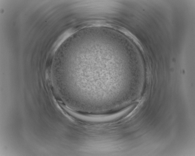 X0000071971385200607282047