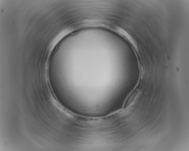 X0000071971386200607282047